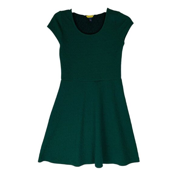 Prince & Fox Green Fit Flare Skater Dress Size Medium Polyester Spandex - Picture 1 of 4